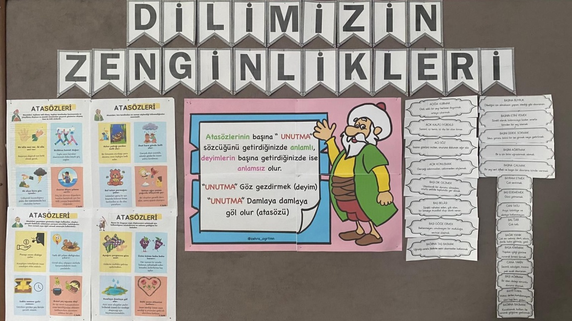 DİLİMİZİMİN ZENGİNLİKLERİ PROJESİ